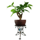 Mini Countertop Plant Stand Metal Potted Plant, Decorative Flower Pot Rack  I8X9