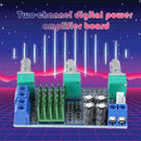TPA3116D2 2-Channel Stereo High Power Digital Audio Power Amplifier Board