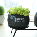 Set Of 3 Cement Succulent Planter Pots Round Flower Pot Black Flower Plante