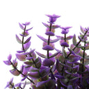 Aquarium Reptile Simulation Water Grass Landscaping Plant Purple