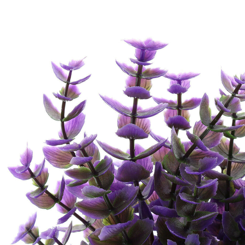 Aquarium Reptile Simulation Water Grass Landscaping Plant Purple