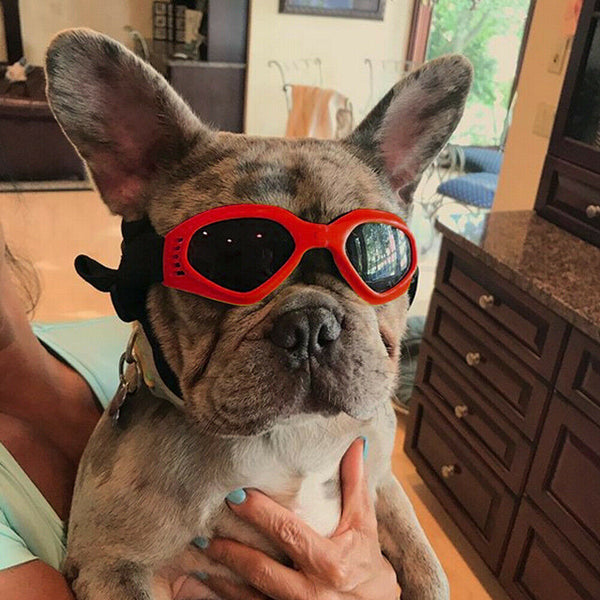 Pet Dog Sunglasses Foldable Puppy Cat Glasses UV Protection Goggles (Red) A#S