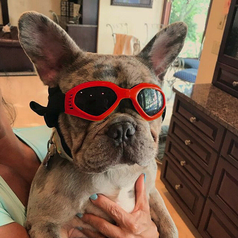 Pet Dog Sunglasses Foldable Puppy Cat Glasses UV Protection Goggles (Red) A