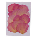 12pcs Real Pressed Dried Flower Rose Petals Scrapbooking Embellishments Pink