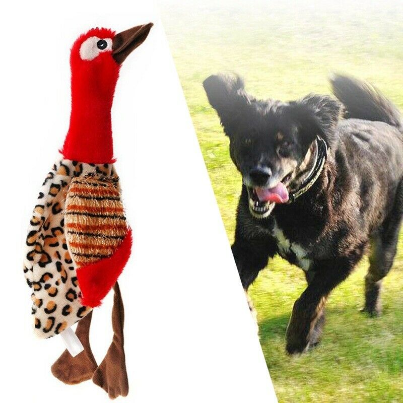 Pet Dog Puppy Cute Squeak Plush Bird Stuffing Interactive Sound Play Toys-R