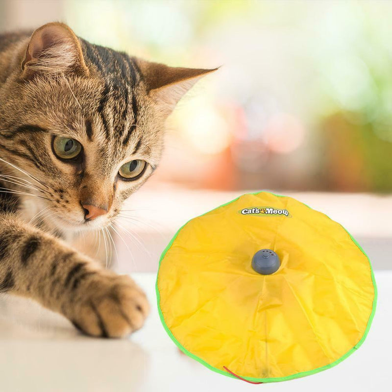 Turntable Intellectual Interactive Plastic Pet Cat Amusement Plate Toys A