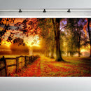 Photography Backdrop Autumn Maple Party Decor Forest Indoor Photo Studio Harvest