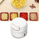 Stainless Steel Garlic Press Ginger Grinding Vegetable Cutter Kitchen Tool