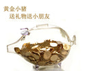 Piggy Bank Design Glass Money Box Vase Bottle Terrarium Container