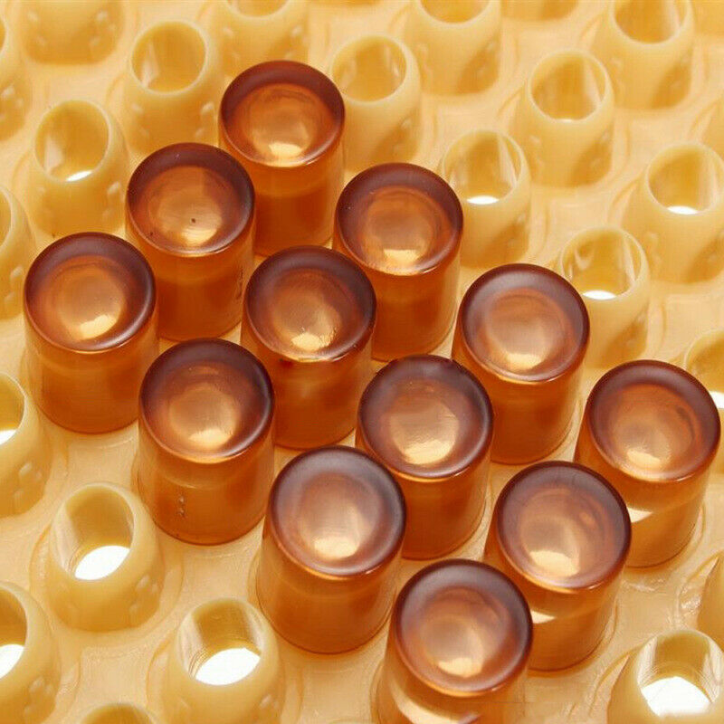 131x Complete Bee Queen Rearing Cup kit Box System Beekeeping Cage Cell Cup Kit