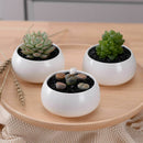 Decorative Small Round Succulent Plant Pot 3 Tier Bamboo Stand-Window Displ