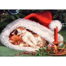 5D DIY Full Drill Diamond Painting Cat Cross Stitch Craft Kit Decor (WX061)