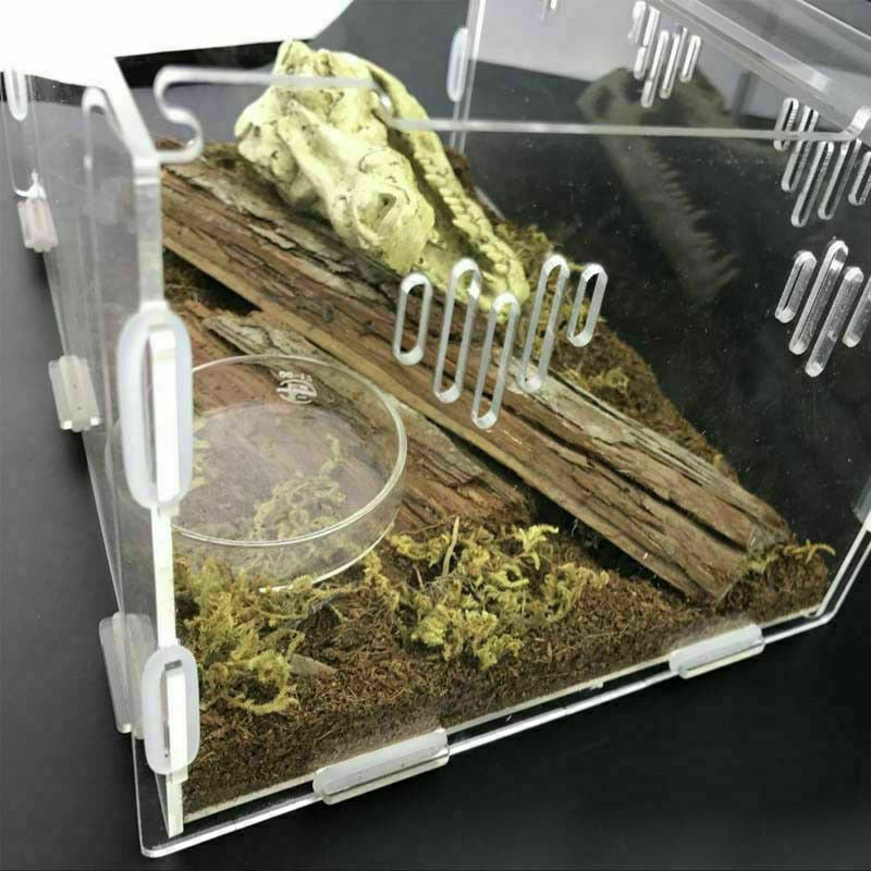 Acrylic-Reptile-Terrarium-Habitat-Ideal-Case-for-Larvae-spiders-ants-scorpi Y9C9