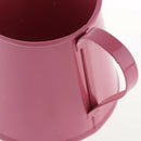 3pcs Pastoral Style Flower Watering Can Gardening Sprayer Kettle Photo Props