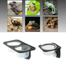 3Pcs Dual + Single Reptile Feeding Food Water Bowl with Suction Cup for Worm