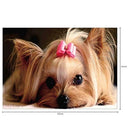 5D DIY Full Drill Diamond Painting Cute Dog Cross Stitch Embroidery Kit