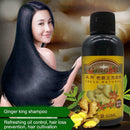 Ginger Shampoo Conditioner Hair Treatment Protect Hair Nourishing Hair Root T9B5