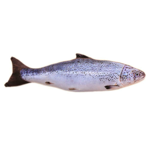 Plush Fish Shape Pet Cat Kitten Teaser Plaything Catnip Toys Pillow(20cm)