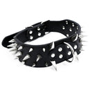 Dog Collars 2 Feet Wide For Pit Bulldog Boxer Doberman