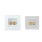 2 Sockets (female) Loudspeaker Socket Wall Mounting Box Loudspeaker Connection