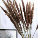 15x Artificial Pampas Grass Natural Dried Flower Wedding Decor Home Decor DIY