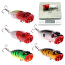 5PCS Topwater Popper Minnow Freshwater Fishing Lures Bass Baits Tackle 6