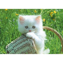 5D DIY Diamond Painting Cat Basket Full Round Drill Embroidery Home Decor