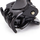 Fashion Women Girls 12pcs Black Plastic Mini Hairpin 6 Claws Hair Clip Clamp  Gn