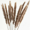 15pcs Artificial Natural Dried Pampas Grass Reed Flower Bunch Home Wedding Decor