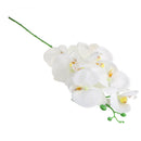 Lifelike Silky 93cm Artificial Phaleanopsis Orchid 9 Heads Flowers White