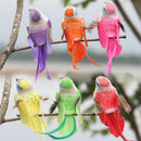 1pc DIY mini craft birds artificial bird feather foam simulation bird home NT3C