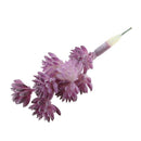 European Style Artificial Succulent Edelweiss Flocking Plant Decor