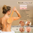 Natural Bristle Bath Brush Exfoliating Wooden Body Massage Shower SPA Skin S Hn