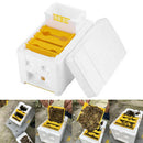 Auto Honey Beehive Frames Beekeeping Kit Bee Hive King Box Pollination BoxJC_