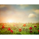 Happy Easter Backdrops for Newborn Photography Easter Birthday Party Decoration