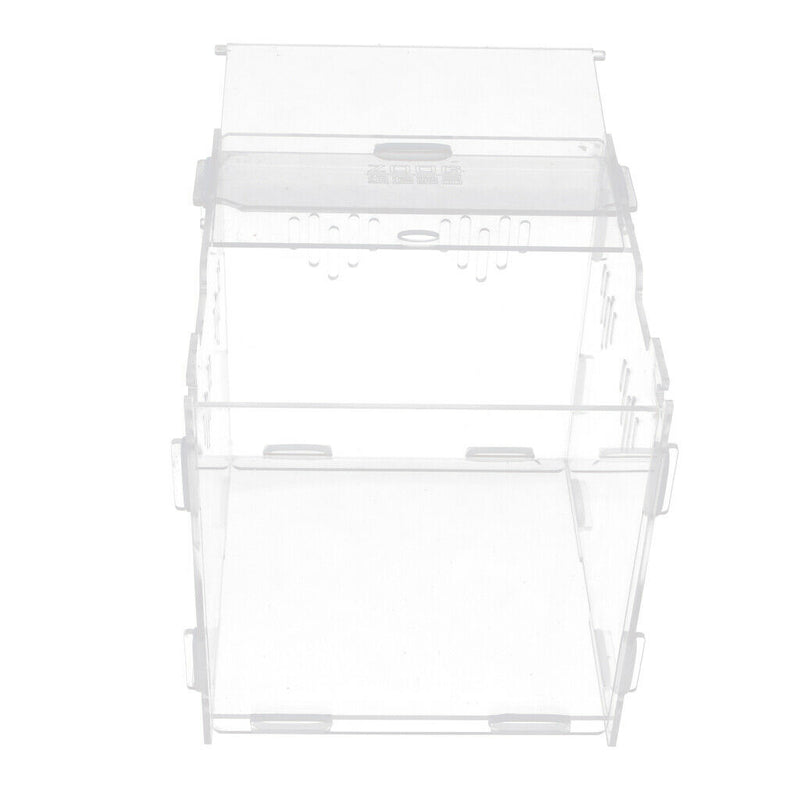 Clear Acrylic Pet Reptile Lizard Transport Breeding Feeding Case 17x17x17cm