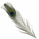 10PCS Real Natural Peacock Tail Eyes Feathers 8-12 Inches /about 23-30cm New