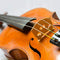 5 Pieces Maple 4/4 Full Size Violin Bridge Qin code Violin accessories