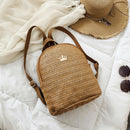 Straw Women'S Backpack Shoulder School Crown Decorative Backpack Straw Knit