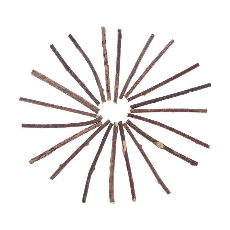 20pcs Natural Fruit Matatabi Cat Snacks Sticks Catnip Pet Cat Molar Rod A