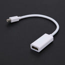 Mini Displayport Male to HDMI Female 1080P Video Converter Adapter Cable