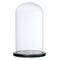 Decorative Glass Cloche Bell Jar Dome with Wooden Base Display Decor_Black F