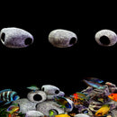 Cichlid Stone Aquarium Rock Shrimp Breeding Cave Hideaway Fish Tank Decorat FT