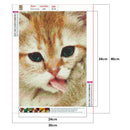 5D DIY Diamond Painting Full Drill Rhinestone Cat Cross Stitch Decor (T341)