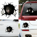 Car Styling Stickers Scary Halloween Auto Decals PVC Graphics (40x34cm)
