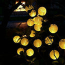 30LED Solar Powered Fairy String Lantern Lights Garden Hanging Christmas Ho U0Z1
