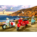 Diamond Painting Seagull Scooter DIY Full Round Drill Wall Picture 40x30cm