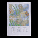 Stamped Cross Stitch Kit for Kids Children Pre-Printed Butterfly Pattern