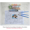 Colorful Horse DIY Oil Painting Paint by Numbers Kit Unframed Home Art Crafts