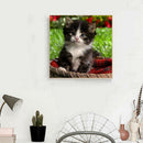 5D DIY Full Drill Diamond Painting Lovely Cat Cross Stitch Embroidery Kit